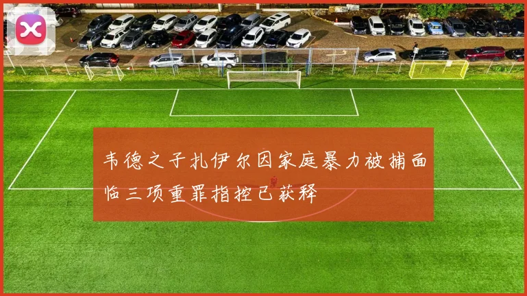 韦德之子扎伊尔因家庭暴力被捕面临三项重罪指控已获释