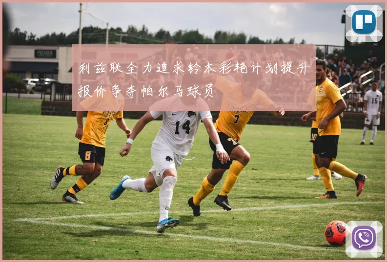 利兹联全力追求铃木彩艳计划提升报价争夺帕尔马球员